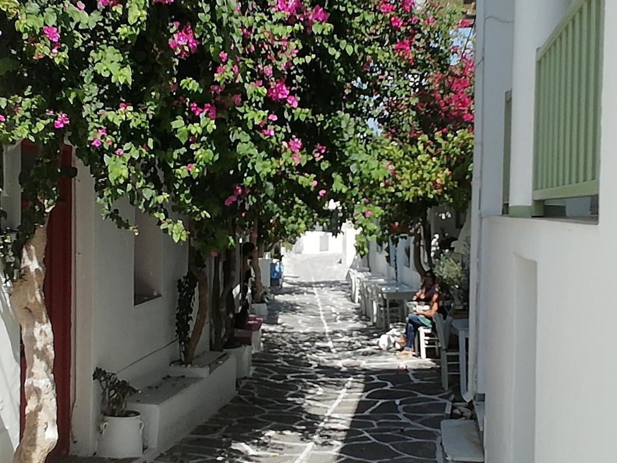 Апарт готель Sunloft-Paros Науса Екстер'єр фото
